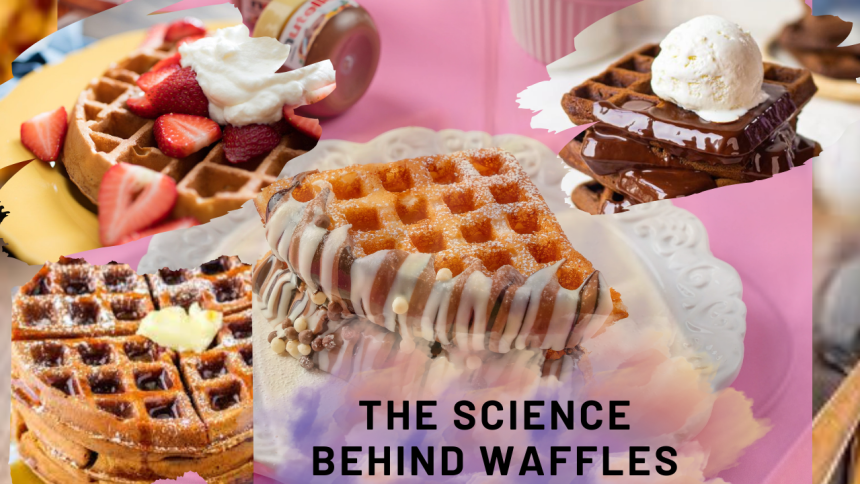 The Science Behind Waffles