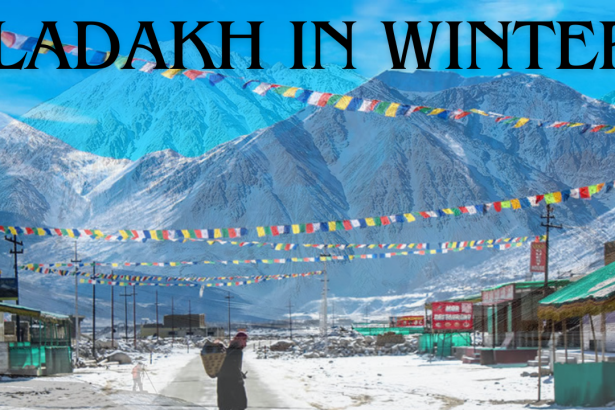 Ladakh in Winter