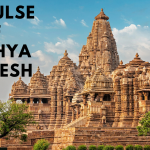 The Pulse of Madhya Pradesh